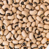 Beans