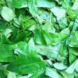 Fresh Oha leaves