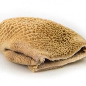 Beef honeycomb