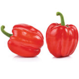 Bell pepper
