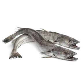 Hake