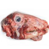 Lamb head